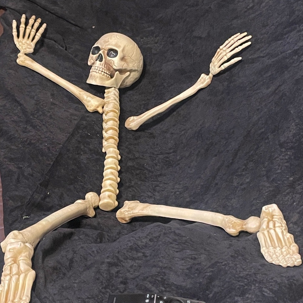 Skeleton